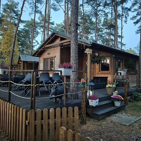 Dzik W Zagrodzie Hotel Borsk Bagian luar foto