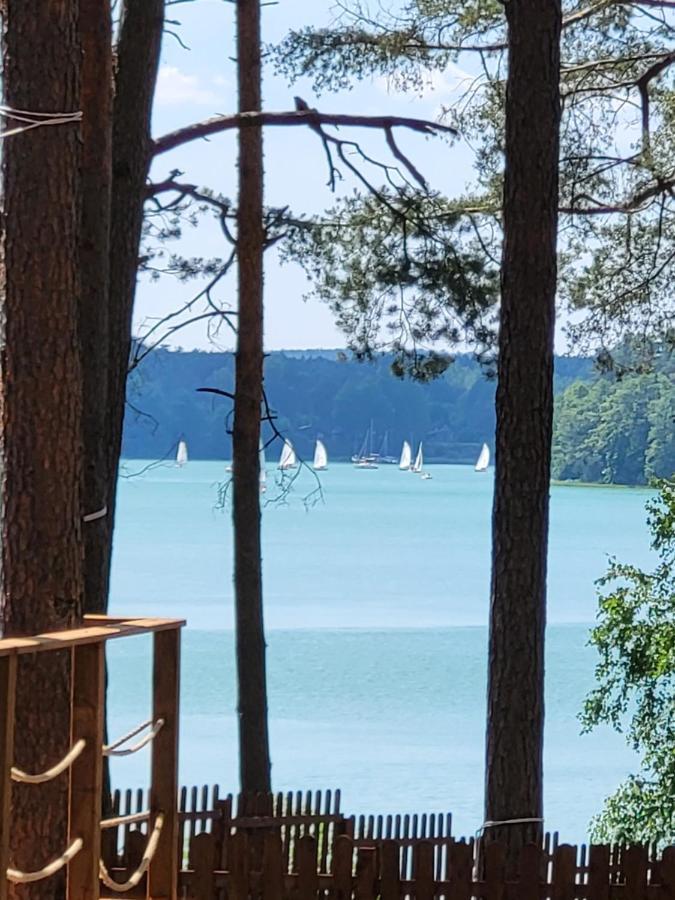 Dzik W Zagrodzie Hotel Borsk Bagian luar foto