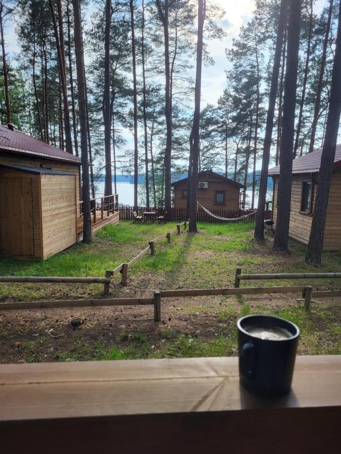 Dzik W Zagrodzie Hotel Borsk Bagian luar foto
