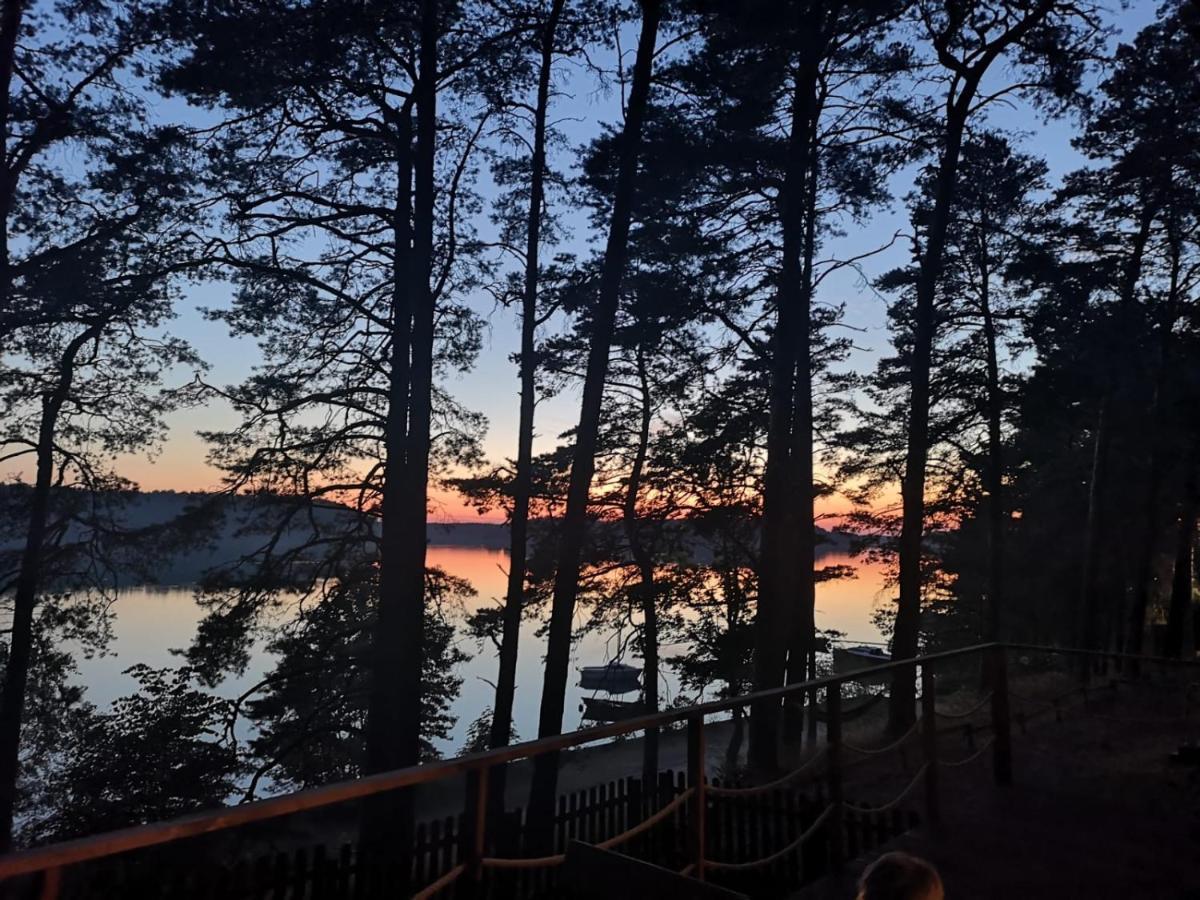 Dzik W Zagrodzie Hotel Borsk Bagian luar foto