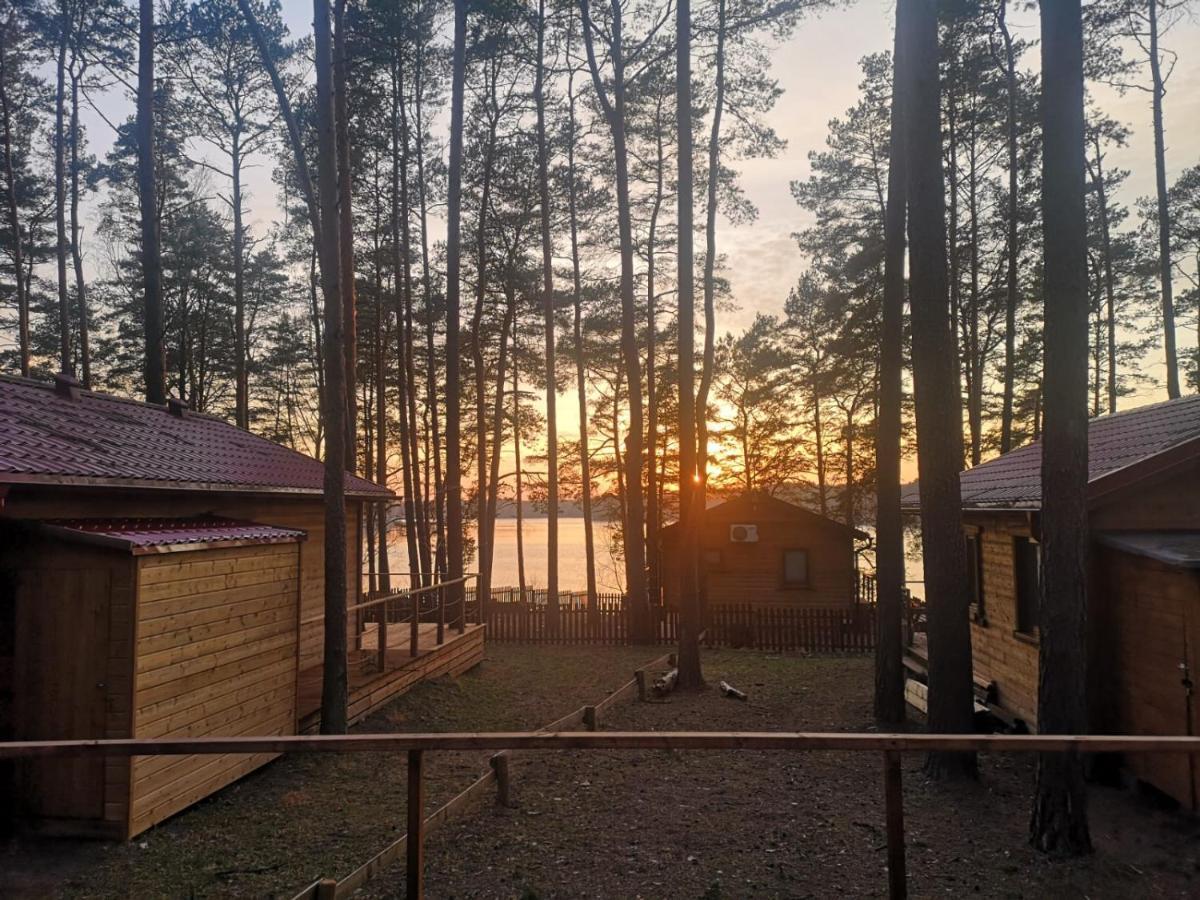 Dzik W Zagrodzie Hotel Borsk Bagian luar foto