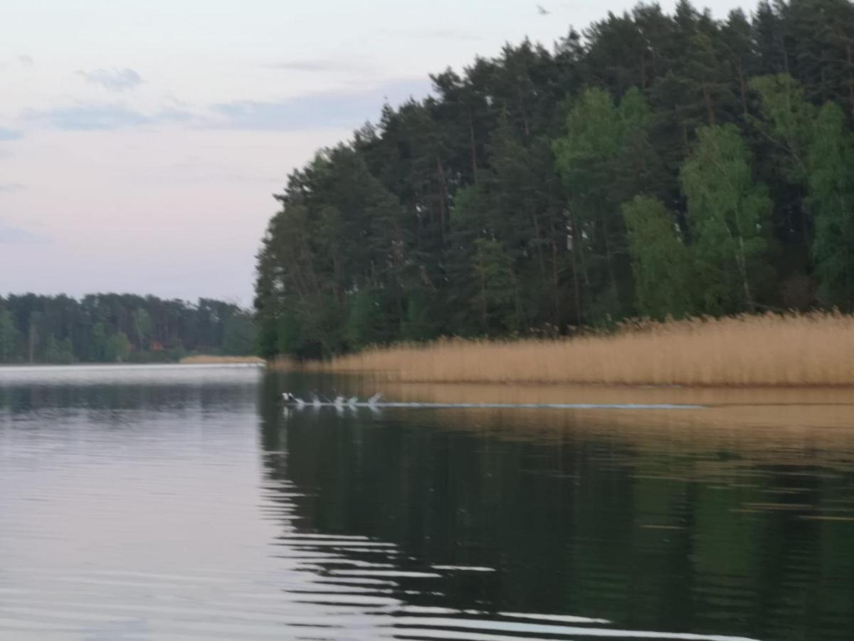 Dzik W Zagrodzie Hotel Borsk Bagian luar foto