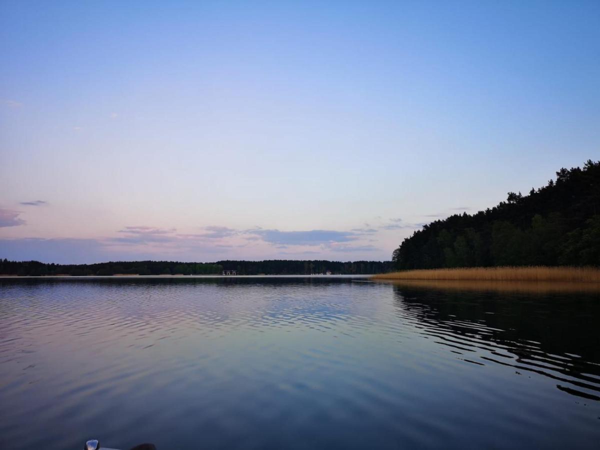 Dzik W Zagrodzie Hotel Borsk Bagian luar foto