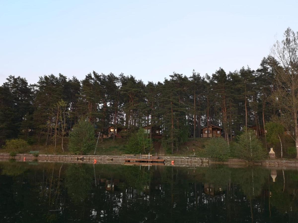 Dzik W Zagrodzie Hotel Borsk Bagian luar foto