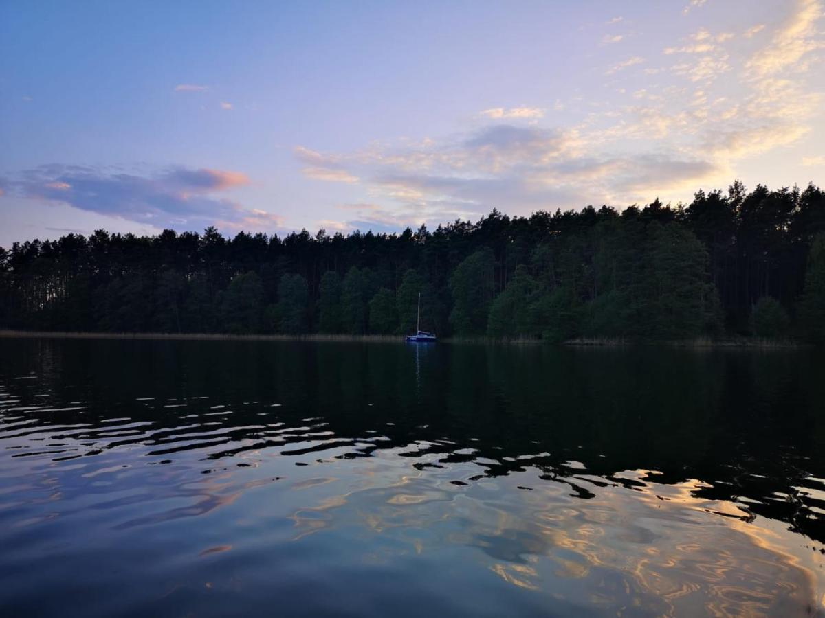 Dzik W Zagrodzie Hotel Borsk Bagian luar foto