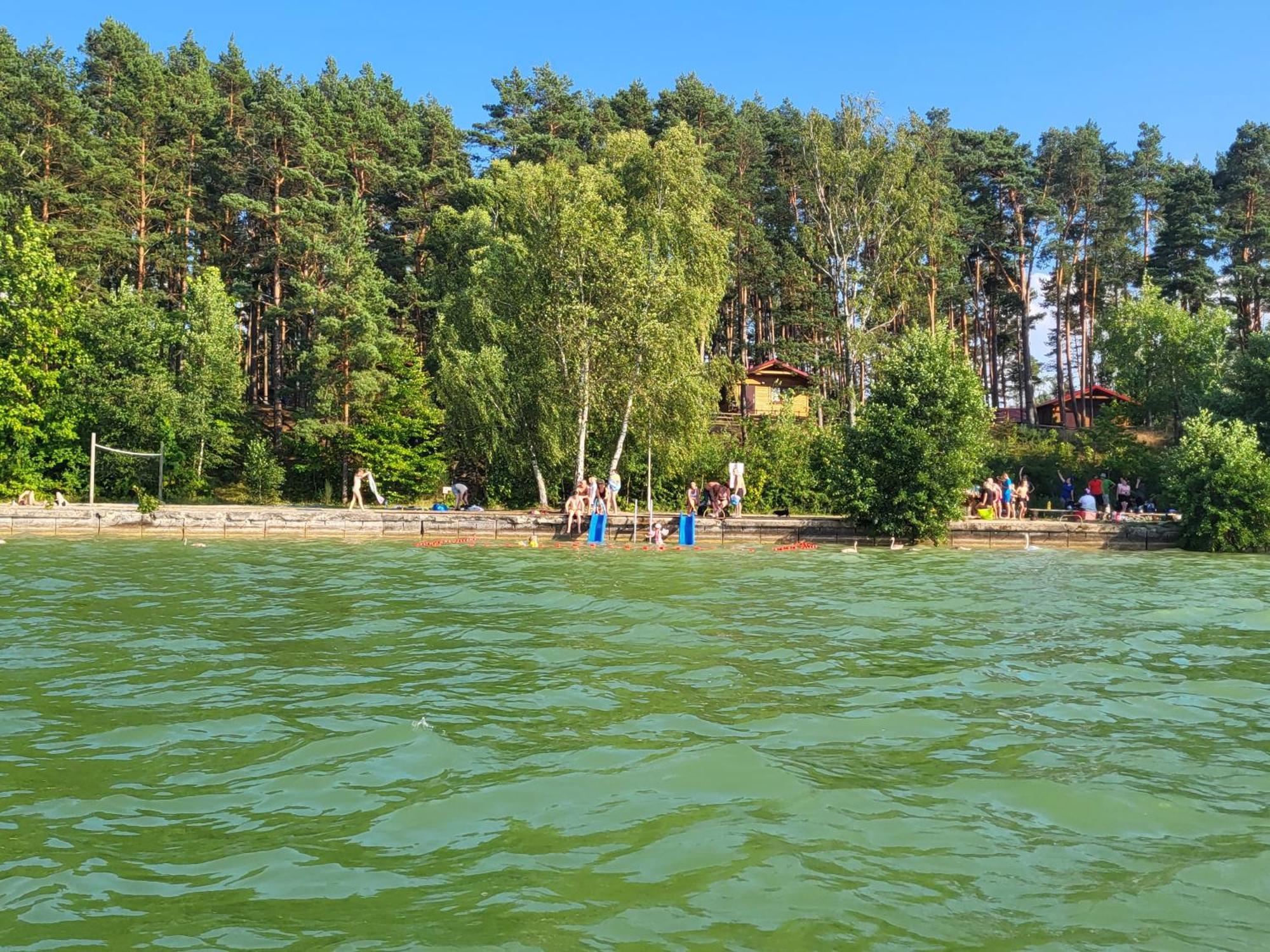 Dzik W Zagrodzie Hotel Borsk Bagian luar foto