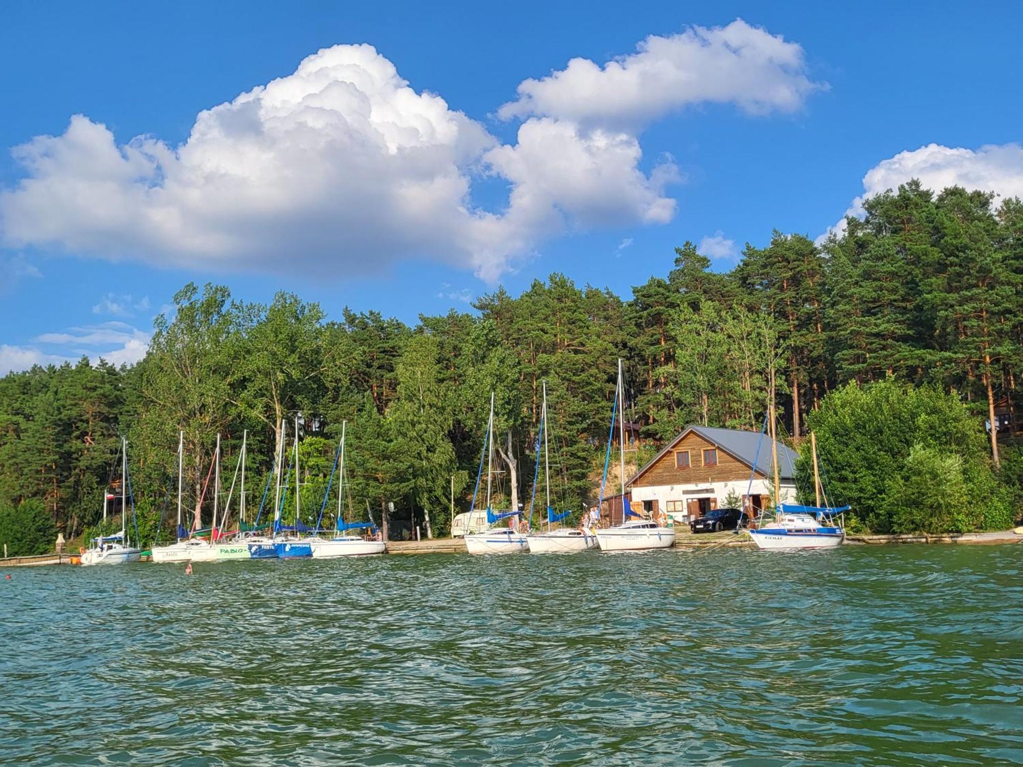 Dzik W Zagrodzie Hotel Borsk Bagian luar foto