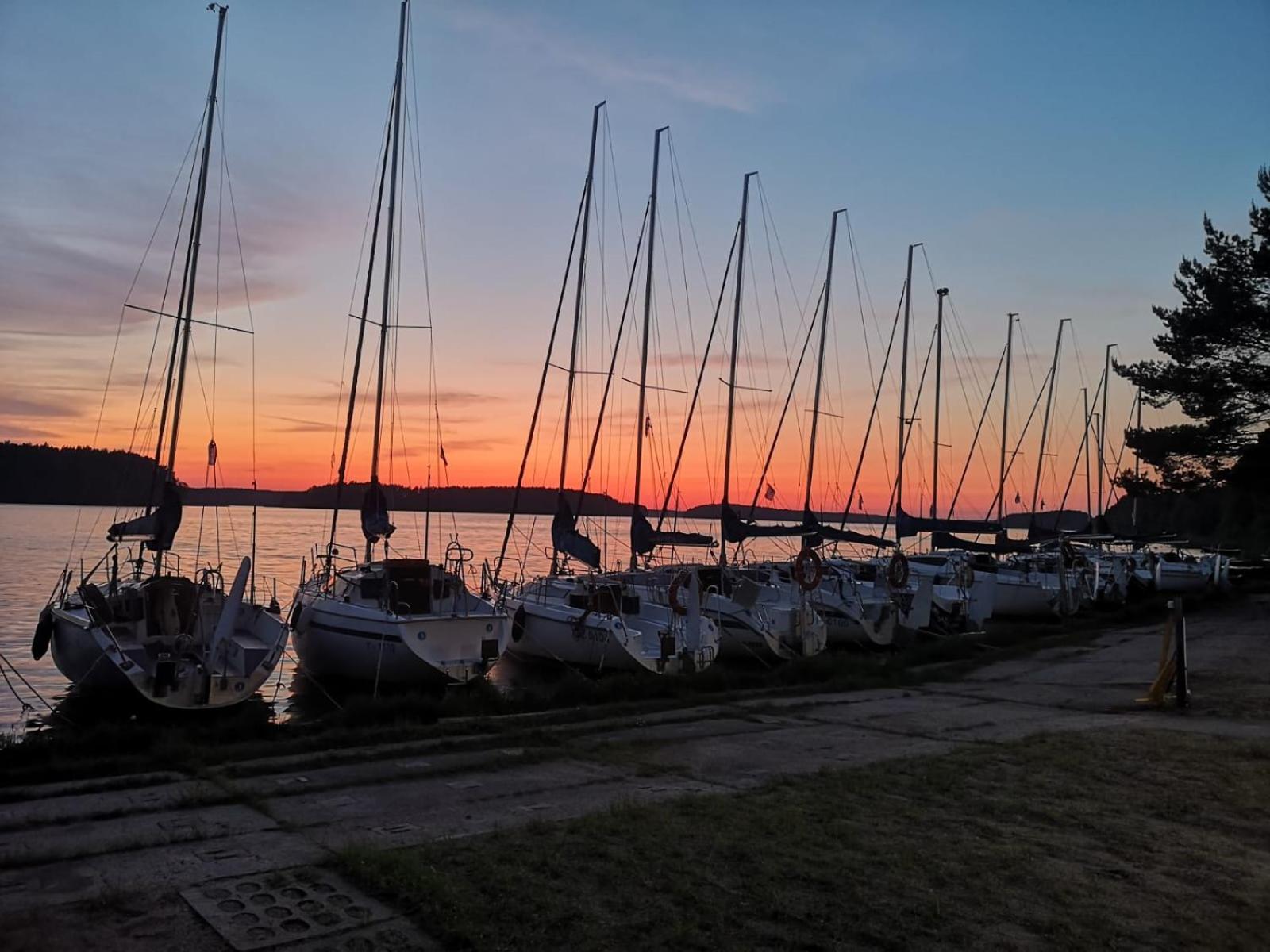 Dzik W Zagrodzie Hotel Borsk Bagian luar foto