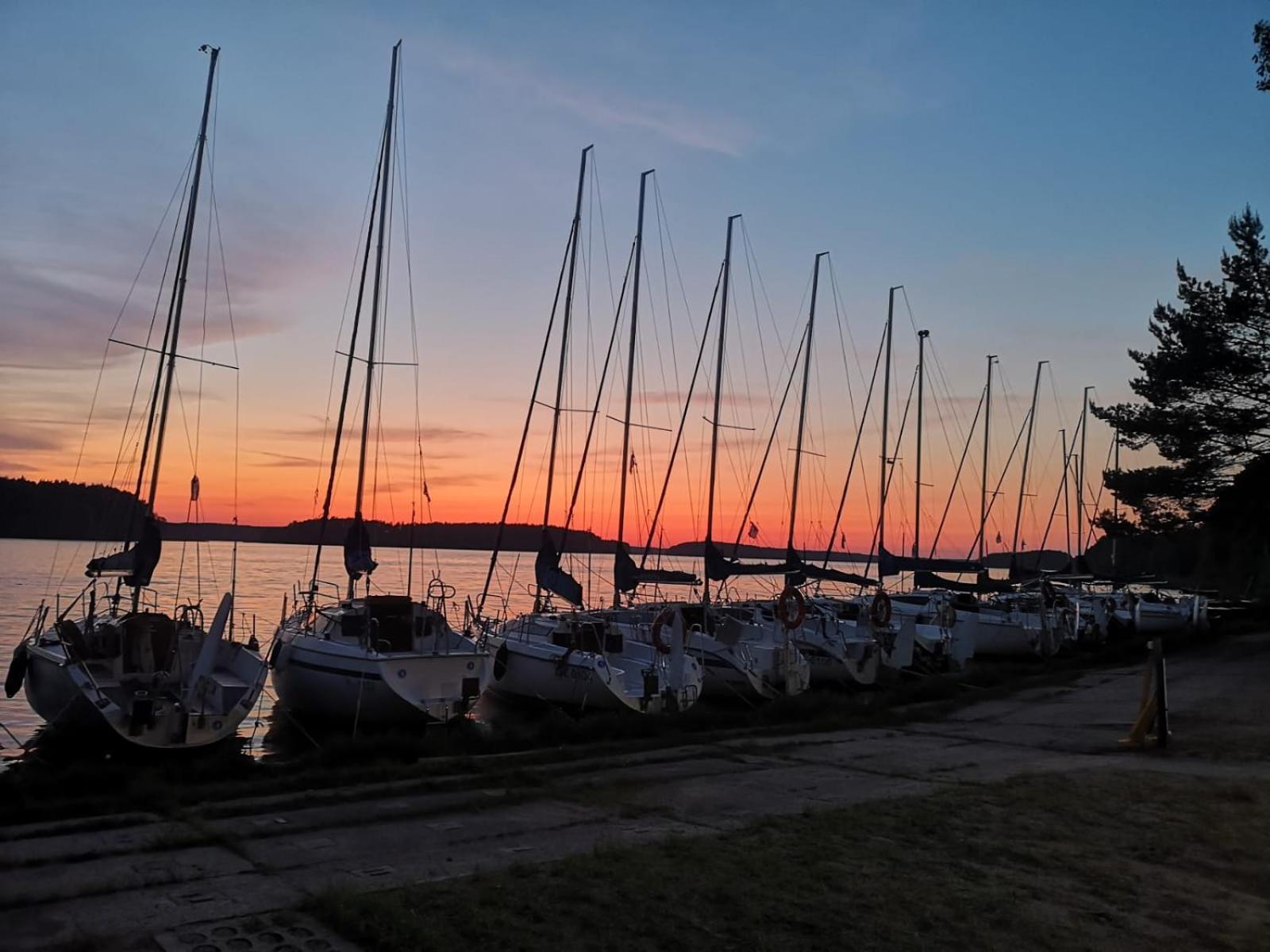 Dzik W Zagrodzie Hotel Borsk Bagian luar foto