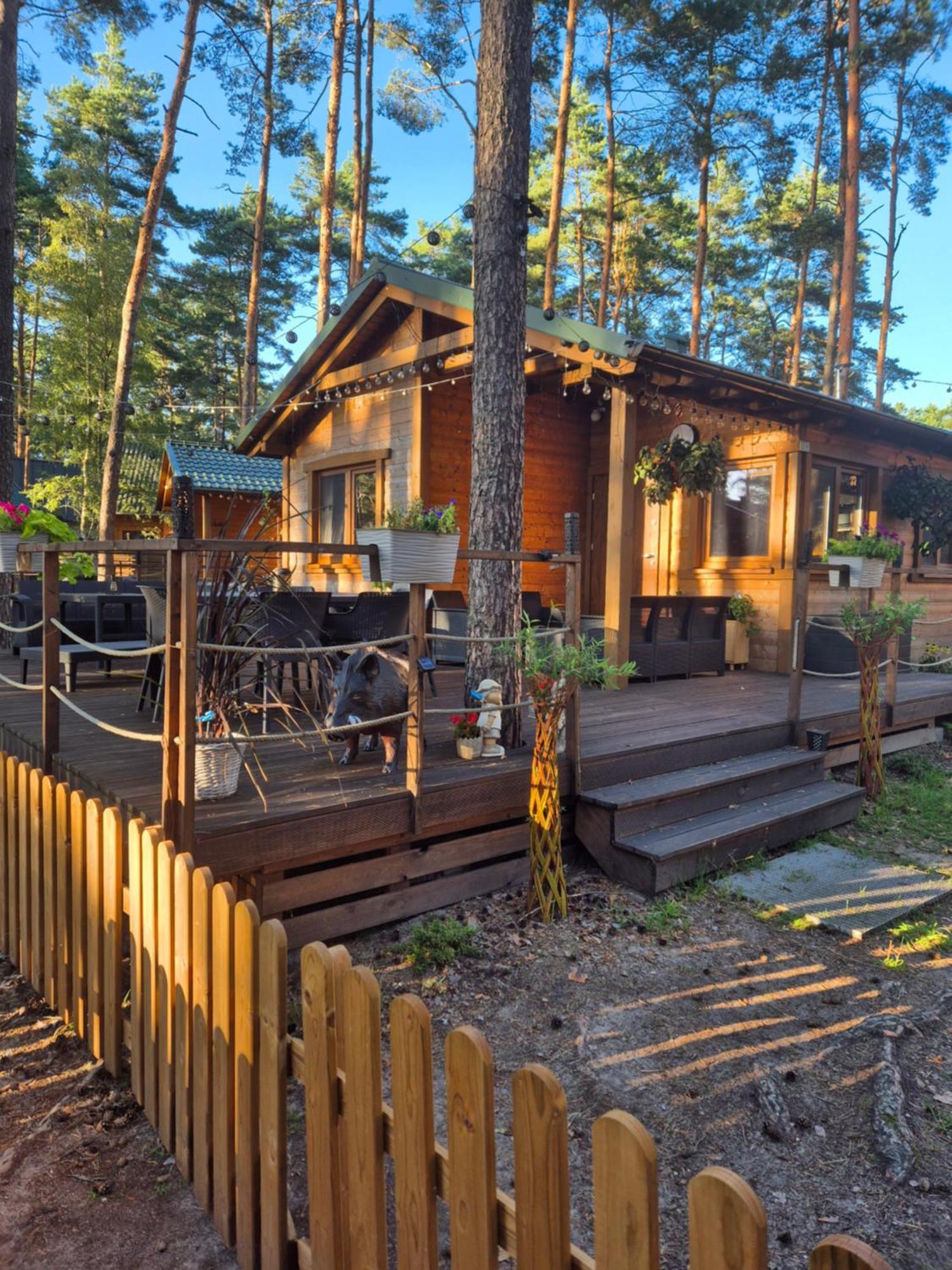Dzik W Zagrodzie Hotel Borsk Bagian luar foto