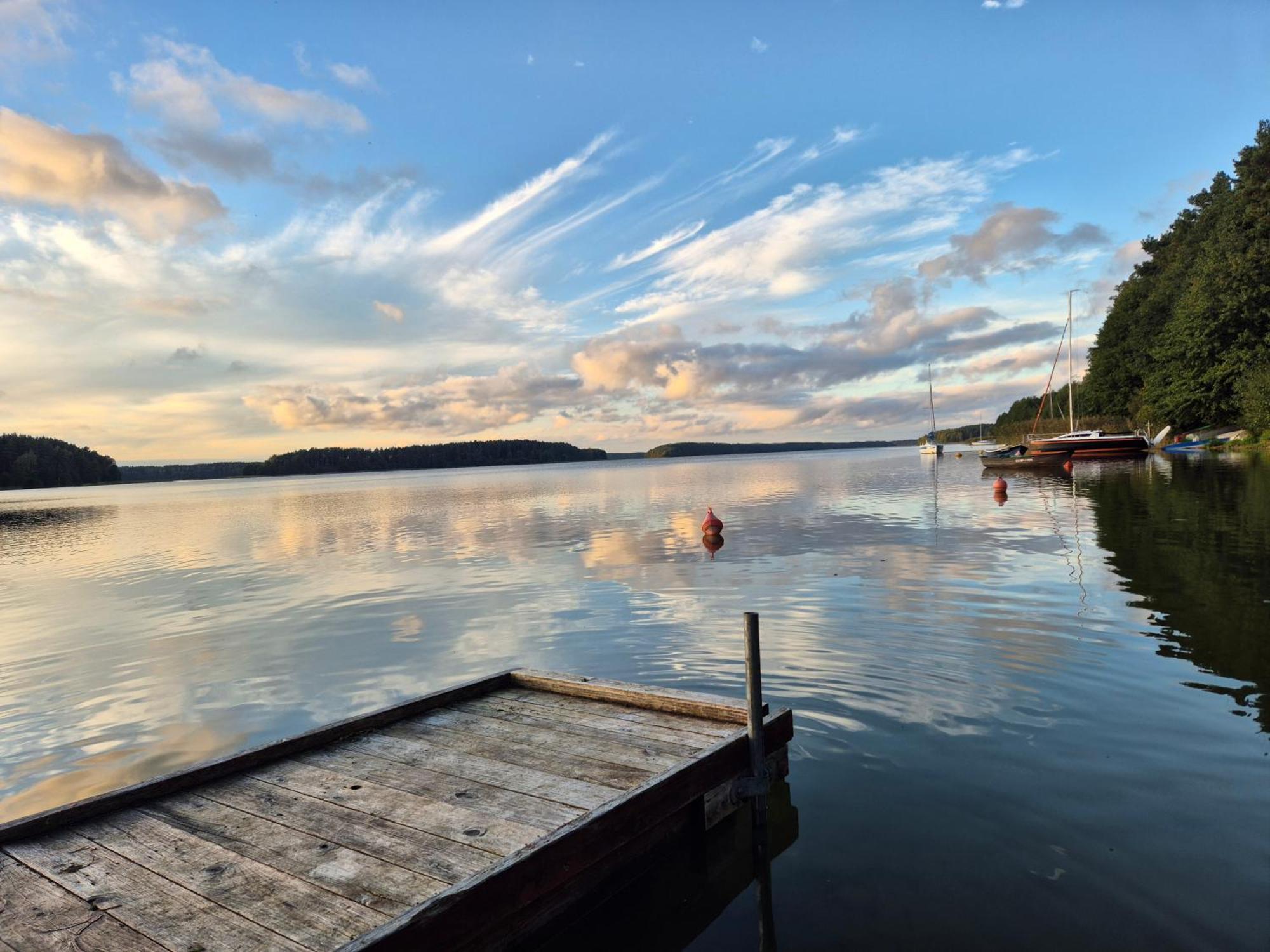 Dzik W Zagrodzie Hotel Borsk Bagian luar foto