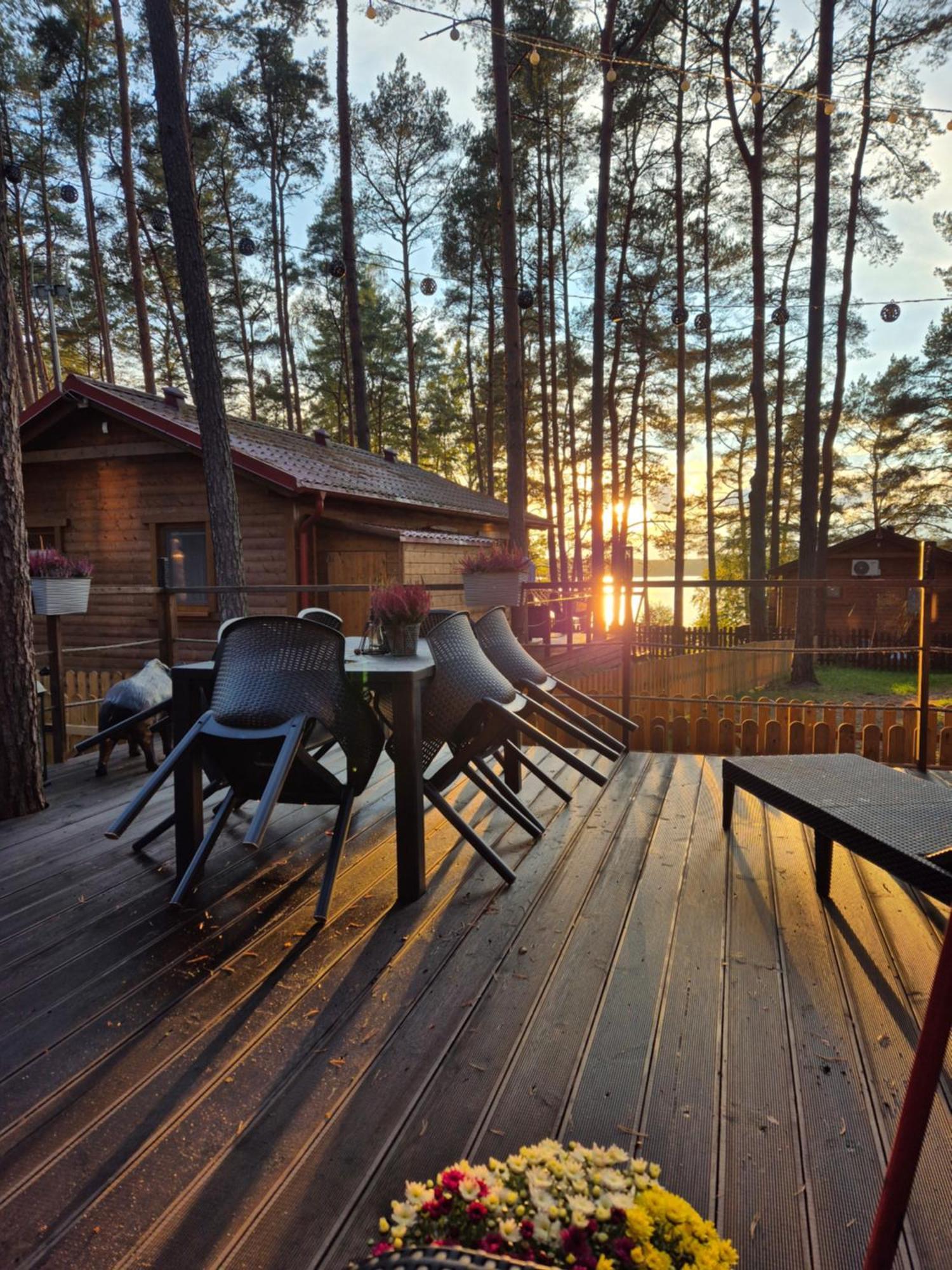 Dzik W Zagrodzie Hotel Borsk Bagian luar foto