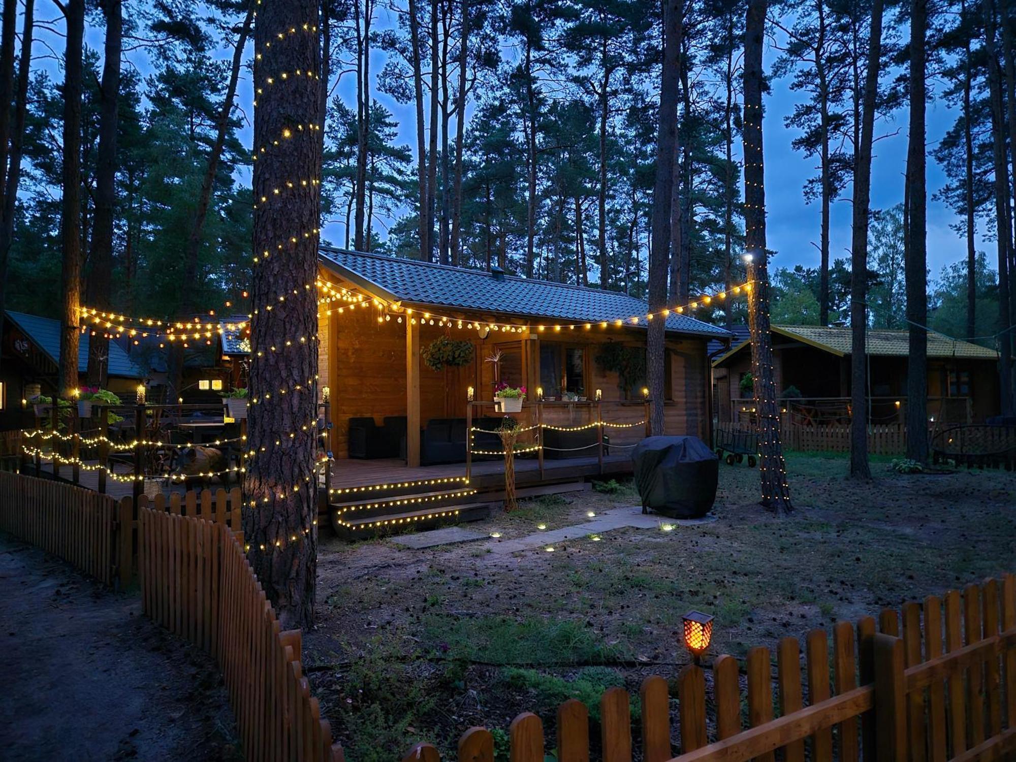 Dzik W Zagrodzie Hotel Borsk Bagian luar foto