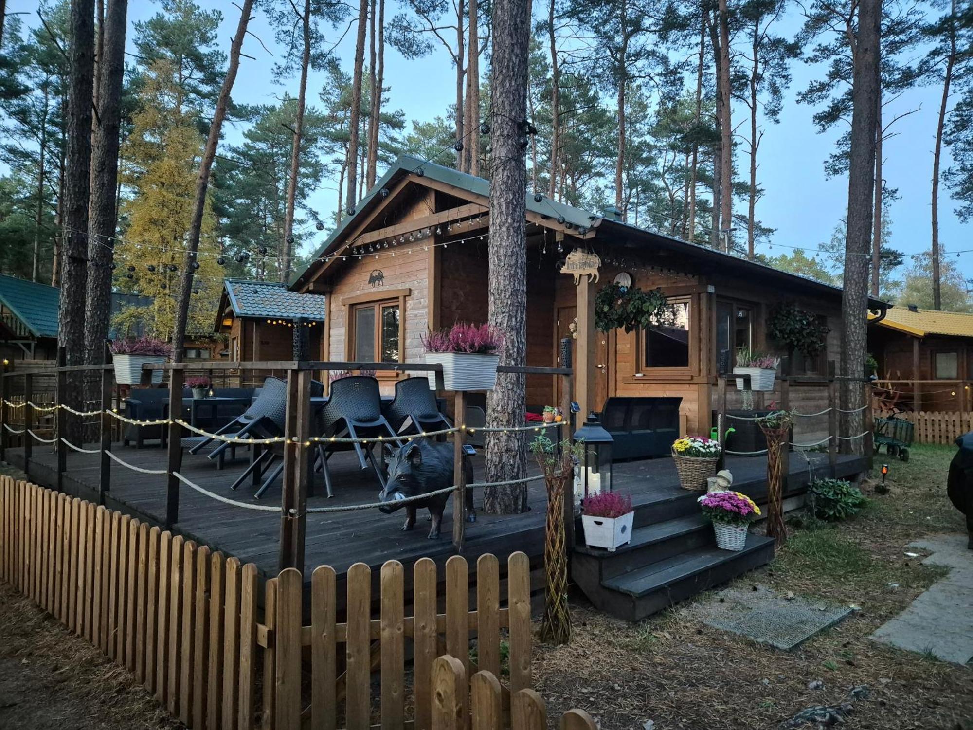 Dzik W Zagrodzie Hotel Borsk Bagian luar foto